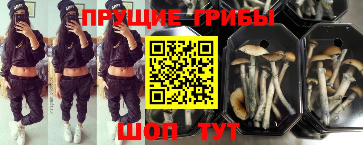 Псилоцибиновые грибы ЛСД Сорочинск